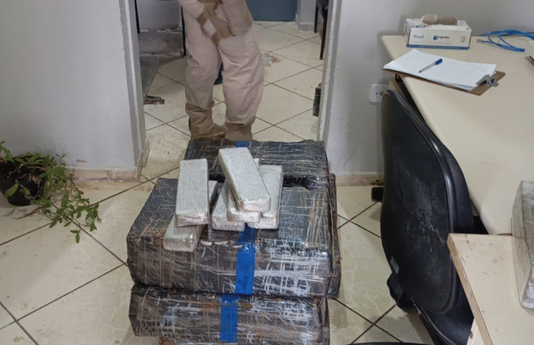 GRANDE APREENSÃO! 346 QUILOS DE MACONHA SÃO INTERCEPTADOS EM AÇÃO CONJUNTA DA PM E PRF