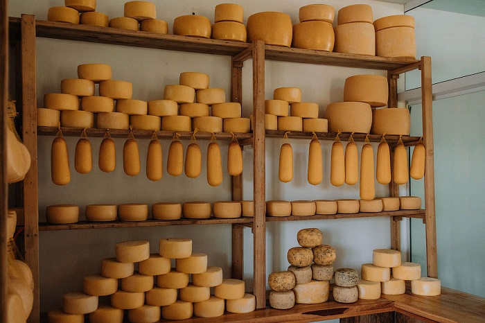 QUEIJO COLONIAL É O 19º PRODUTO PARANAENSE COM ‘INDICAÇÃO GEOGRÁFICA’