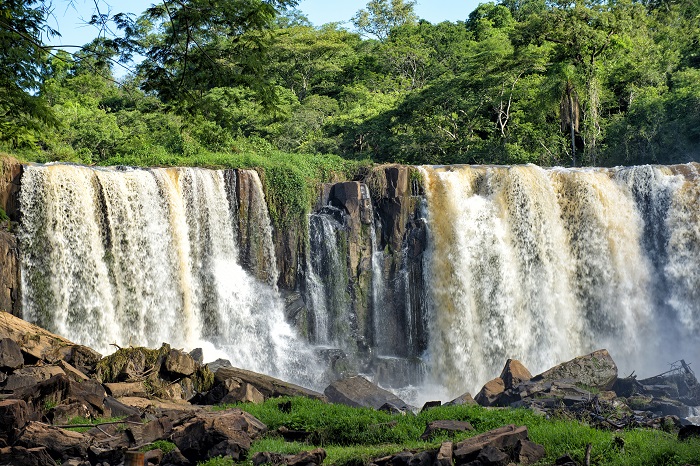 PARANÁ COMEMORA A SEMANA DO MEIO AMBIENTE COMO ESTADO MAIS SUSTENTÁVEL