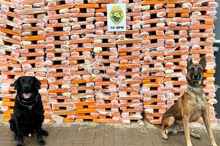 DROGAS LOCALIZADAS POR CÃES FAREJADORES CAUSAM PREJUÍZO DE R$ 900 MILHÕES AO CRIME