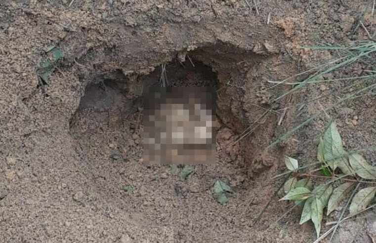 MISTÉRIO EM PONTA GROSSA – OSSADA HUMANA É ENCONTRADA EM TERRENO BALDIO NO JARDIM CARVALHO