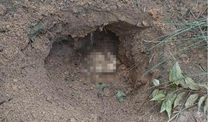 MISTÉRIO EM PONTA GROSSA – OSSADA HUMANA É ENCONTRADA EM TERRENO BALDIO NO JARDIM CARVALHO