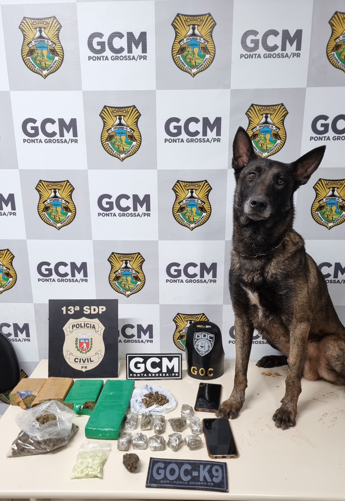 AÇÃO INTEGRADA POLÍCIA CIVIL E GUARDA CIVIL MUNICIPAL APREENDE MACONHA E ECSTASY NO BOA VISTA