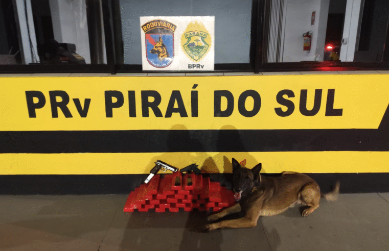 MULHER É PRESA COM PISTOLAS E MAIS DE 20 KG DE MACONHA EM ÔNIBUS NA PR-151