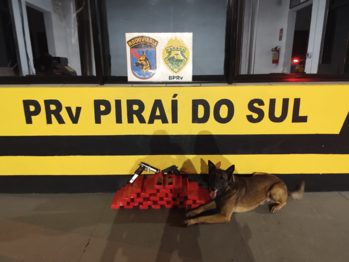 MULHER É PRESA COM PISTOLAS E MAIS DE 20 KG DE MACONHA EM ÔNIBUS NA PR-151
