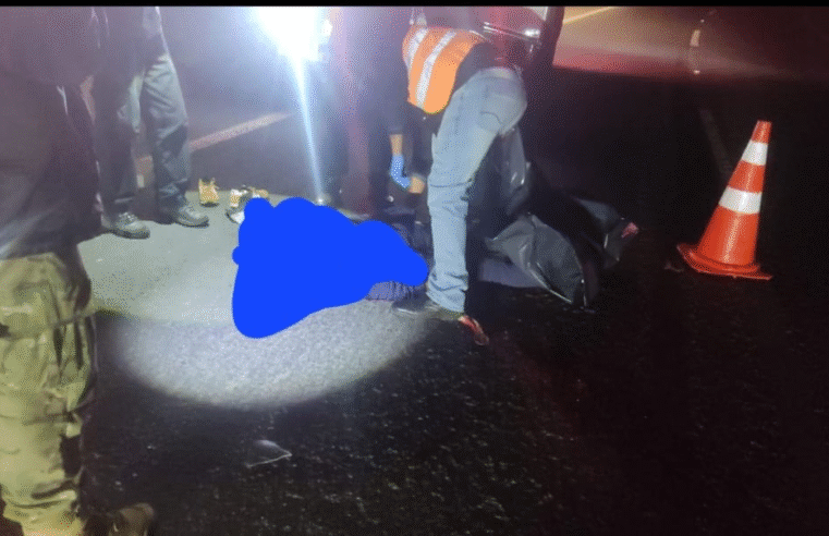 ATROPELAMENTO DEIXA UMA MORTE NA PR-151