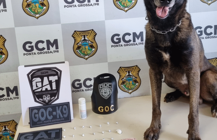 ADOLESCENTE É APREENDIDO POR TRÁFICO DE DROGAS NA VILA NOVA — GCM ACHA CRACK COM AJUDA DO CÃO FAREJADOR