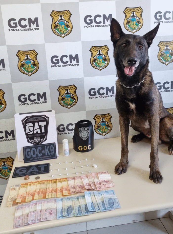ADOLESCENTE É APREENDIDO POR TRÁFICO DE DROGAS NA VILA NOVA — GCM ACHA CRACK COM AJUDA DO CÃO FAREJADOR