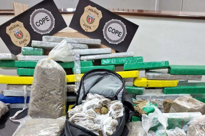 POLÍCIA CIVIL APREENDE 237 QUILOS DE MACONHA ‘GOURMET’ EM CURITIBA