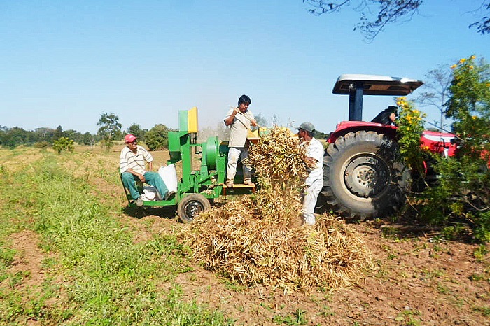 AGRICULTURA FAMILIAR REPRESENTA 75% DOS EMPREENDIMENTOS RURAIS DO ESTADO