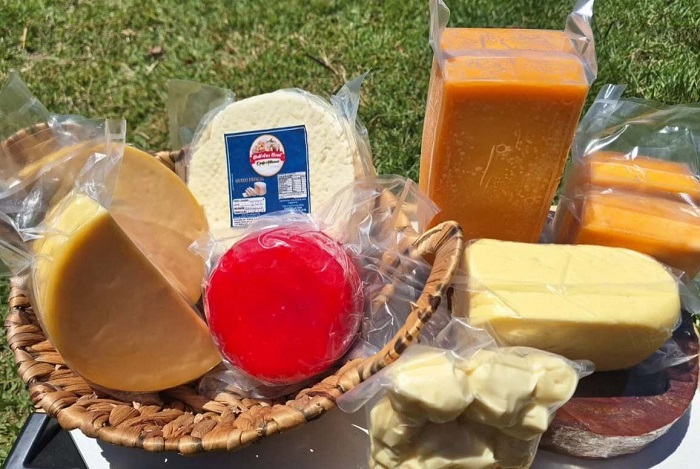 PRODUTORES PARANAENSES CONQUISTAM 165 MEDALHAS NO ‘PRÊMIO QUEIJO BRASIL’