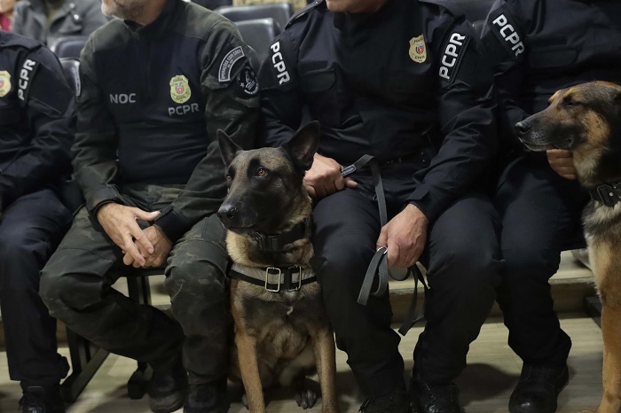 CÃES DA POLÍCIA CIVIL CONTRIBUEM PARA A APREENSÃO DE 5,7 TONELADAS DE DROGAS