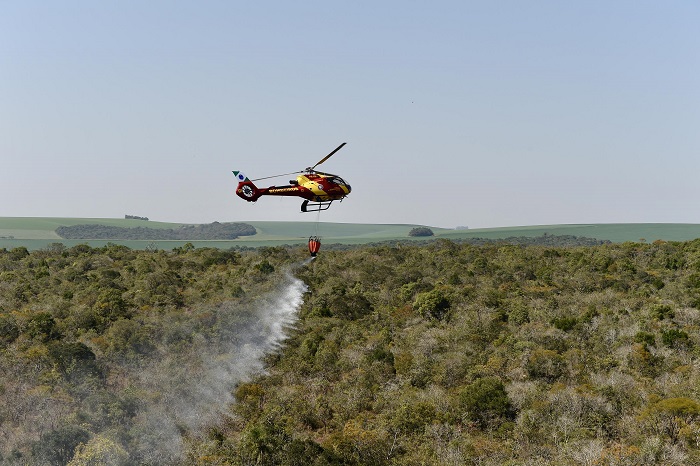 IAT USA QUEIMADA CONTROLADA PARA RESTAURAR FLORA DO PARQUE DO CERRADO