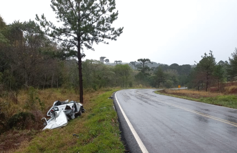 CARRO BATE EM ÁRVORE E MOTORISTA FICA FERIDO NA PR-340
