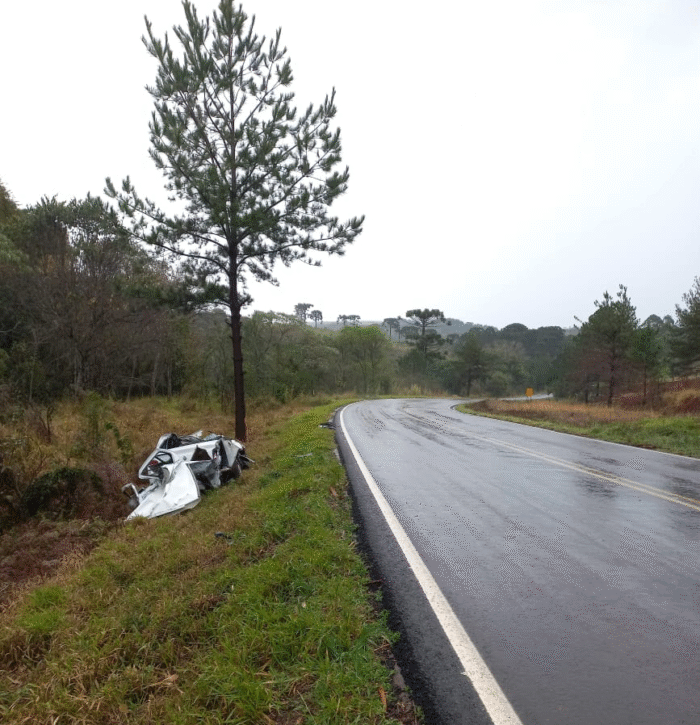 CARRO BATE EM ÁRVORE E MOTORISTA FICA FERIDO NA PR-340