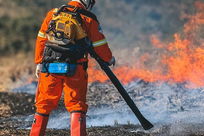 IAT CONTA COM 1.594 VOLUNTÁRIOS PARA A PRESERVAÇÃO DA NATUREZA