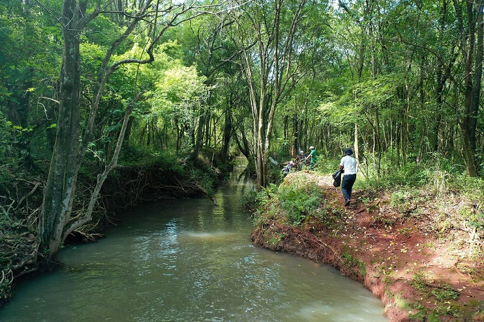 SANEPAR DESENVOLVE AÇÕES DE CONSCIENTIZAÇÃO NO DIA DA LIMPEZA DE RIOS