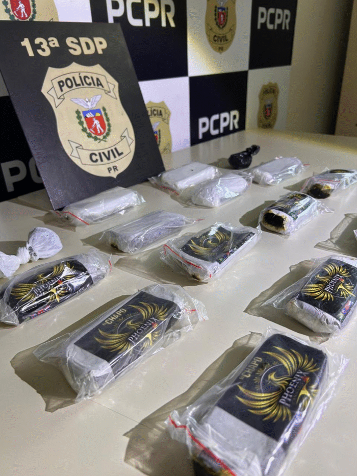 POLÍCIA CIVIL E GUARDA CIVIL MUNICIPAL APREENDEM QUASE 3KG DE HAXIXE EM PONTA GROSSA