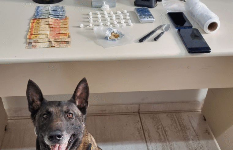 DROGAS E MUNIÇÕES SÃO APREENDIDAS EM AÇÃO DA POLÍCIA CIVIL E GUARDA CIVIL MUNICIPAL NO BAIRRO NEVES EM PONTA GROSSA