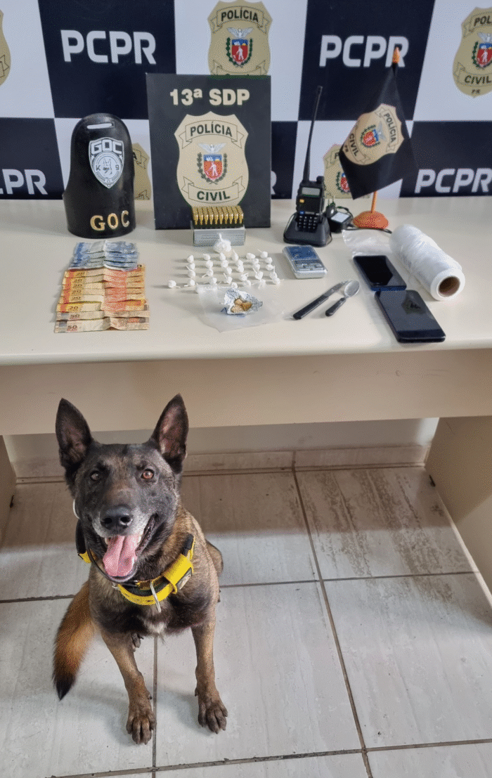 DROGAS E MUNIÇÕES SÃO APREENDIDAS EM AÇÃO DA POLÍCIA CIVIL E GUARDA CIVIL MUNICIPAL NO BAIRRO NEVES EM PONTA GROSSA