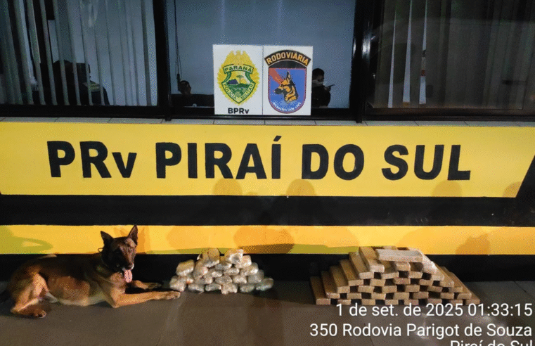 POLÍCIA APREENDE MAIS DE 30 KG DE DROGAS EM ÔNIBUS NA PR-151