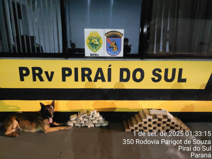 POLÍCIA APREENDE MAIS DE 30 KG DE DROGAS EM ÔNIBUS NA PR-151
