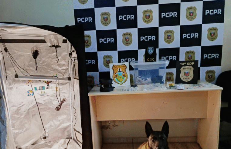 POLÍCIA CIVIL E GUARDA CIVIL MUNICIPAL PRENDEM JOVEM QUE PRODUZIA MACONHA GOURMET EM CASA E ENVIAVA A DROGA PELOS CORREIOS
