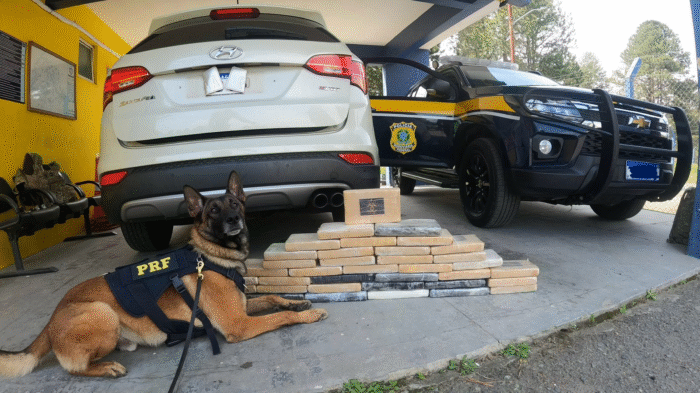 PRF APREENDE 54,9 KG DE COCAÍNA ESCONDIDOS EM VEÍCULO PARAGUAIO