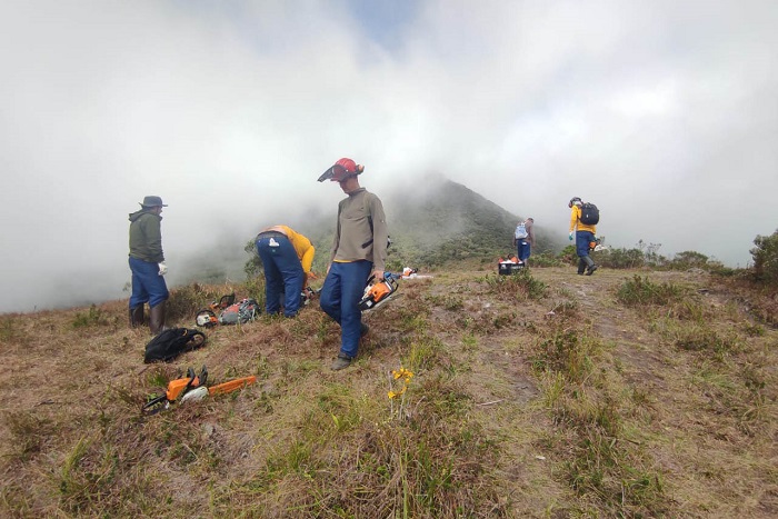 IAT e INICIATIVA CAMPOS GERAIS REALIZARAM  A LIMPEZA DO PICO PARANÁ