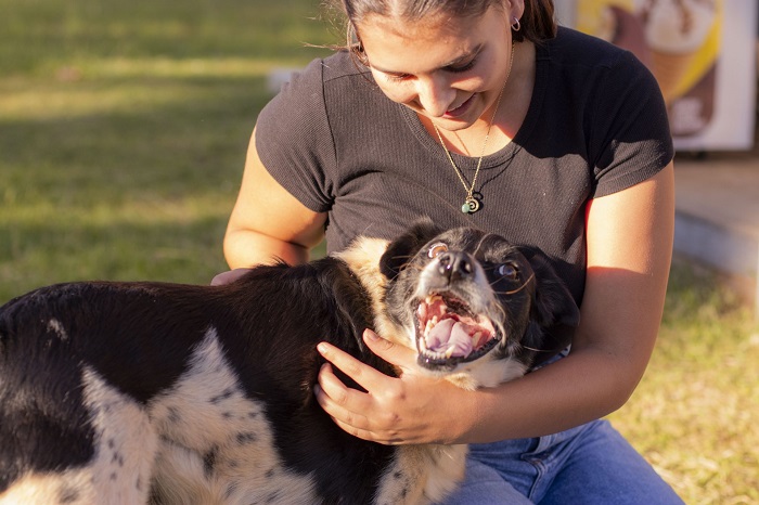 UEPG LANÇA CAMPANHA “QUEM AMA NÃO ABANDONA”