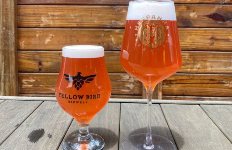 ‘FRUTOPIA AMBURANA’ É A MELHOR CERVEJA DO BRASIL EM 2025