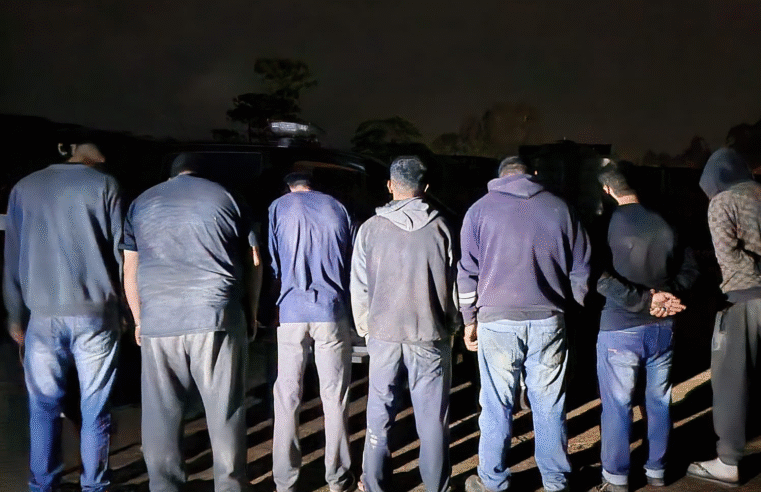 PCPR PRENDE 07 HOMENS EM FLAGRANTE POR ADULTERAÇÃO DE FERTILIZANTES