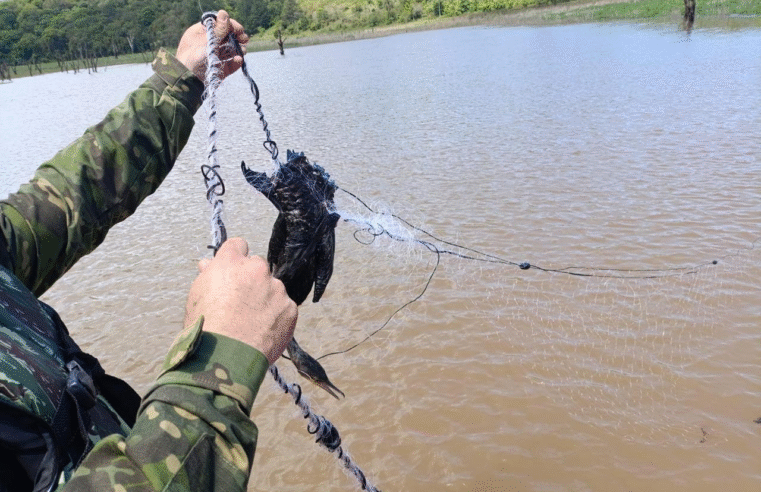 POLÍCIA AMBIENTAL APREENDE REDES DE PESCA E SALVA AVE ENREDADA NA REPRESA DE MAUÁ