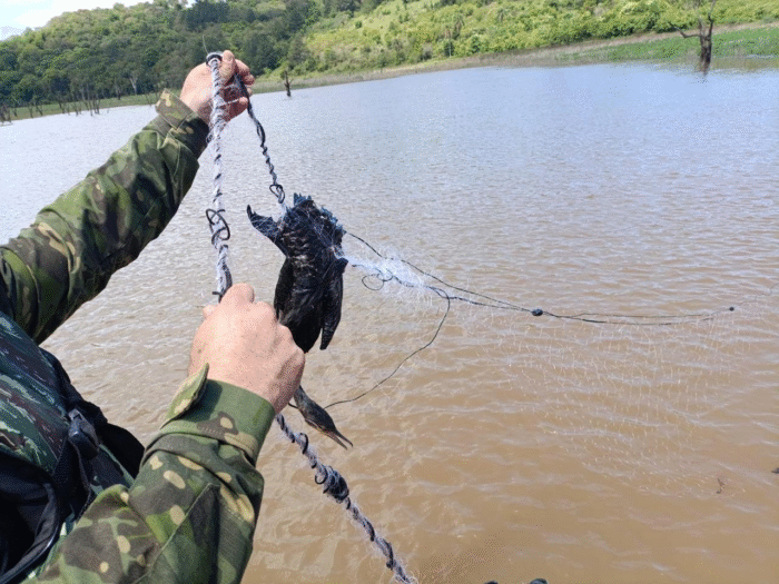POLÍCIA AMBIENTAL APREENDE REDES DE PESCA E SALVA AVE ENREDADA NA REPRESA DE MAUÁ