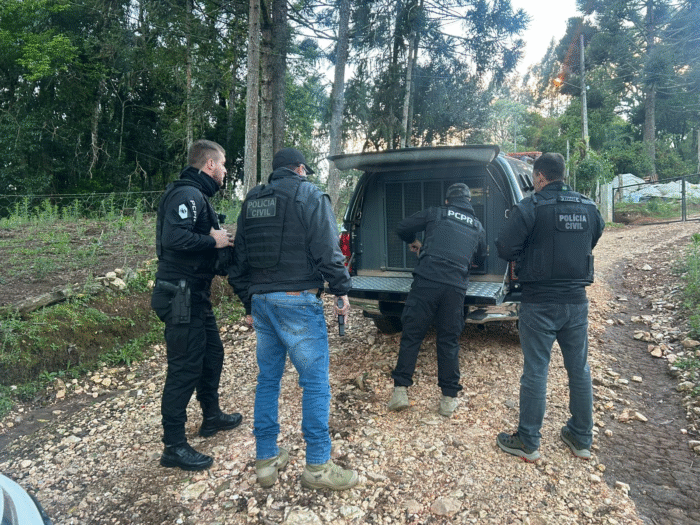 PCPR PRENDE PREVENTIVAMENTE HOMEM INVESTIGADO POR TRÁFICO DE DROGAS E POSSE ILEGAL DE ARMA DE FOGO EM CASTRO