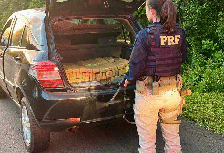 PRF APREENDE 220 QUILOS DE MACONHA NA BR-277, EM IRATI (PR)