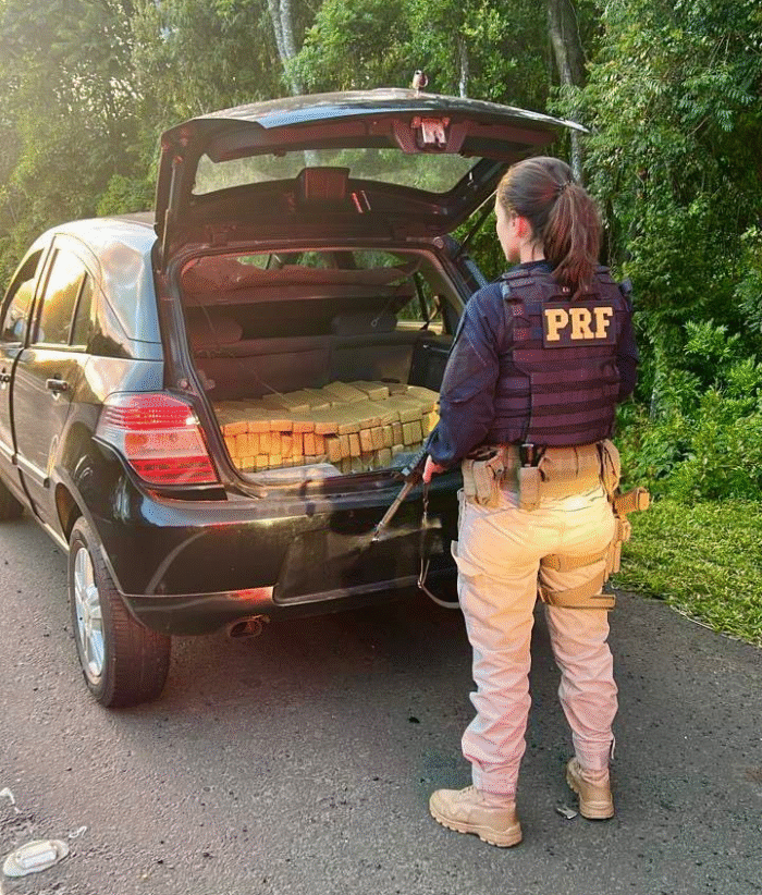 PRF APREENDE 220 QUILOS DE MACONHA NA BR-277, EM IRATI (PR)