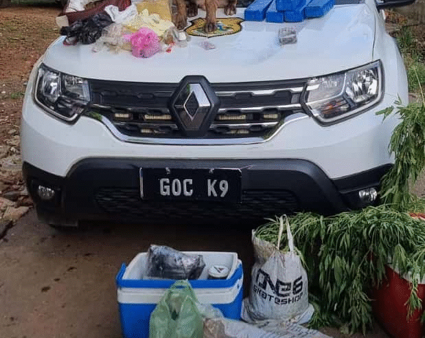 GCM APREENDE MAIS DE 17 KG DE DROGAS E MUNIÇÕES NO BOA VISTA