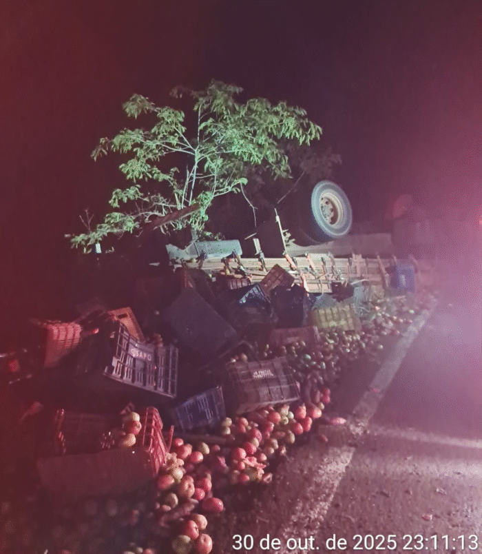 MOTORISTA MORRE APÓS CAMINHÃO CAPOTAR NA PRC-487