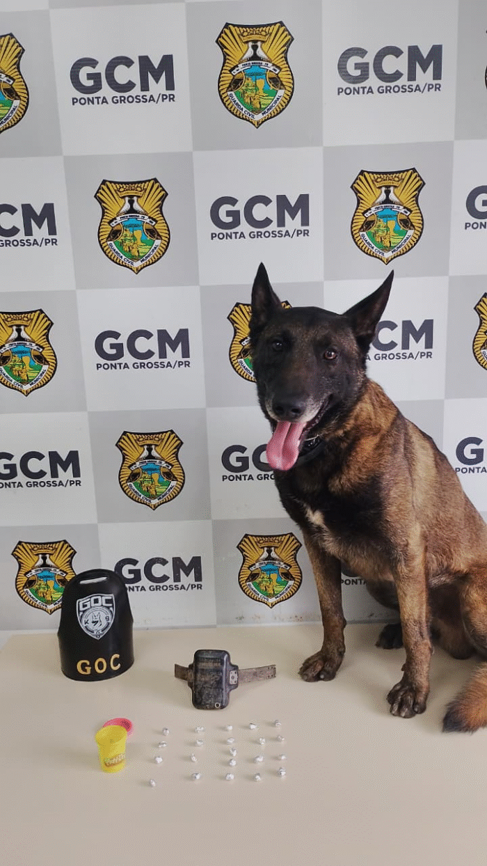 GCM APREENDE DROGAS E TORNOZELEIRA ROMPIDA NO JARDIM CARVALHO