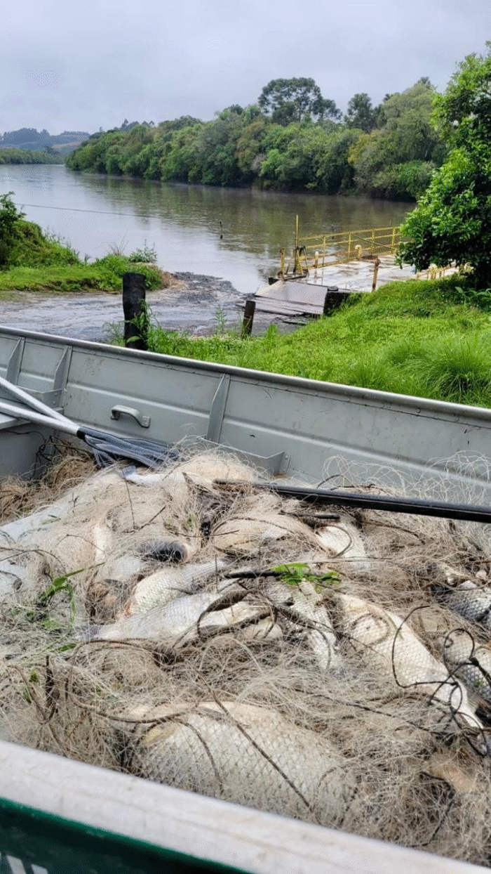 POLÍCIA AMBIENTAL APREENDE REDES DE PESCA NO RIO IGUAÇU