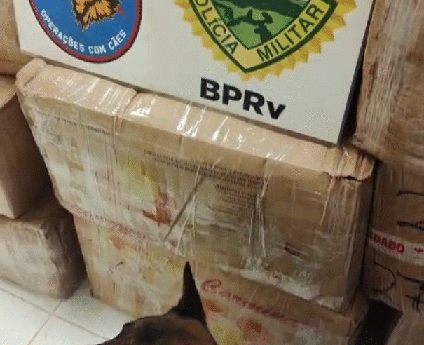 MAIS DE 11 TONELADAS DE MACONHA SÃO ENCONTRADAS EM CONTAINER NA BR-277, EM PALMEIRA; MAIOR APREENSÃO DA HISTÓRIA DO BATALHÃO RODOVIÁRIO E DO ANO NO PARANÁ
