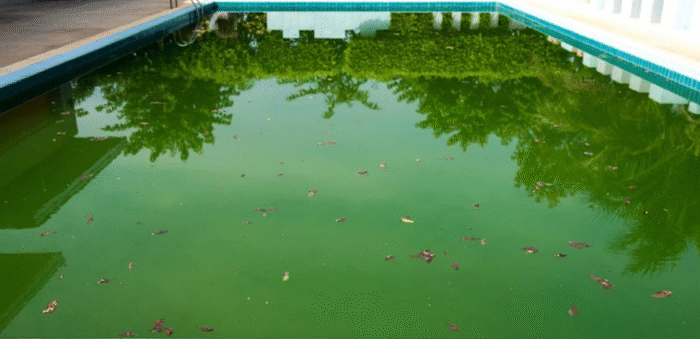 MENINO DE DOIS ANOS MORRE APÓS CAIR EM PISCINA NO CARÁ-CARÁ EM PONTA GROSSA