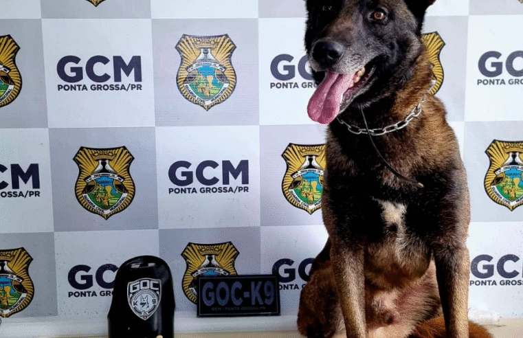 GUARDA MUNICIPAL APREENDE DROGAS NO BOA VISTA