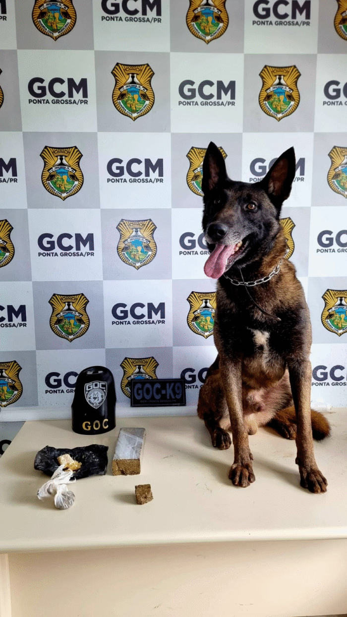 GUARDA MUNICIPAL APREENDE DROGAS NO BOA VISTA